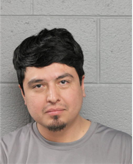 LUIS A VALENCIA, Cook County, Illinois