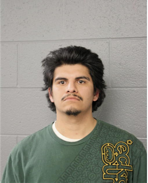 ANDRES RODRIGUES, Cook County, Illinois