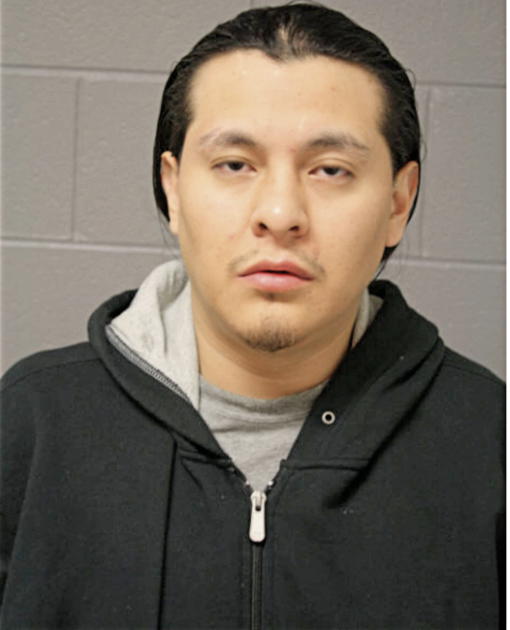 JORGE L OCHOA, Cook County, Illinois