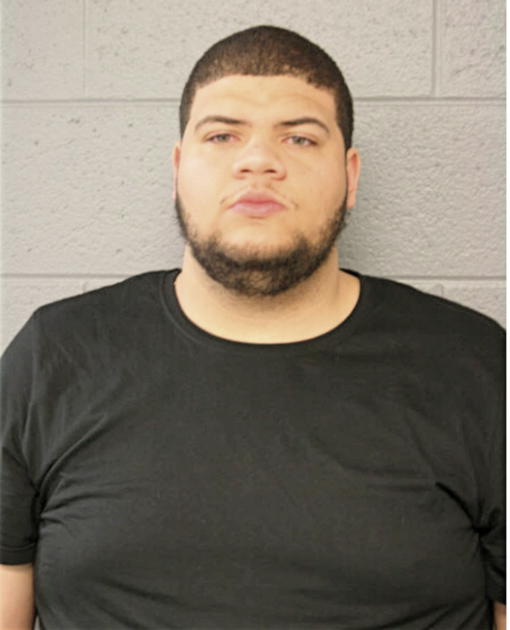 ANTWONN A MCGEE, IL