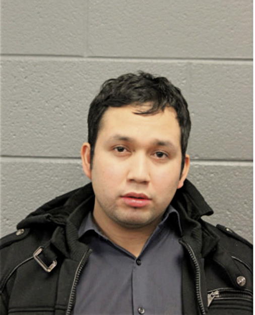 ROBERTH J SICHIQUE, Cook County, Illinois
