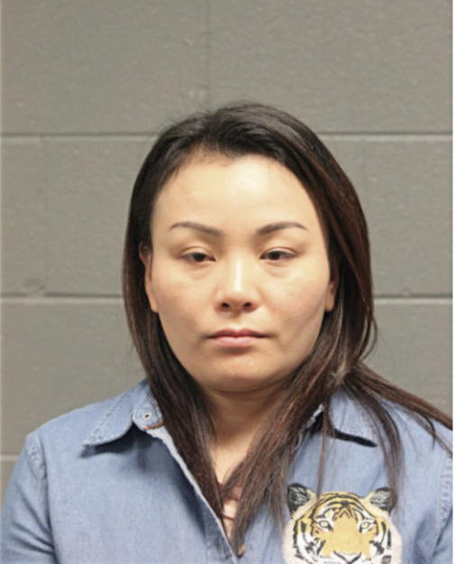 MEILING SU, Cook County, Illinois
