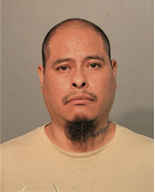 RAUL A HERNANDEZ, Cook County, Illinois