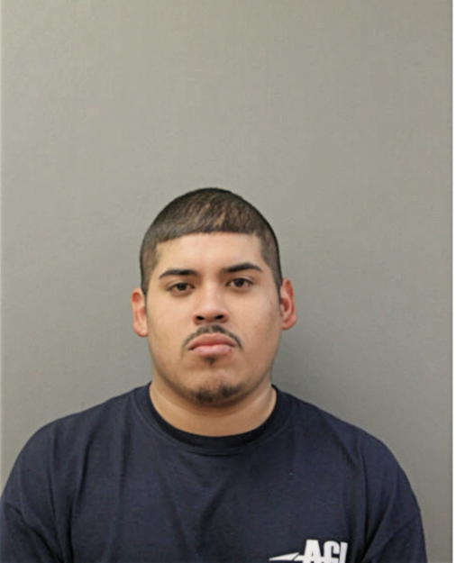 ROMAN RIGOBERTO, Cook County, Illinois