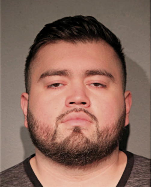 RAY J VARGAS, Cook County, Illinois