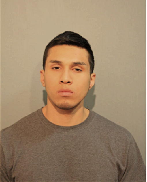 DAVID RODRIGUEZ, Cook County, Illinois