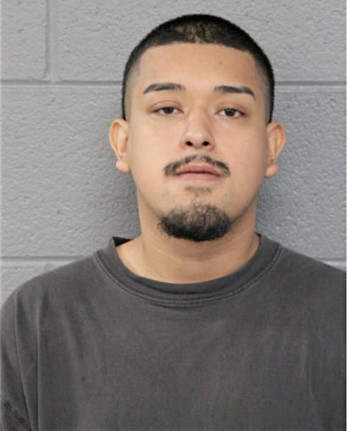 IRVIN MORALES, Cook County, Illinois