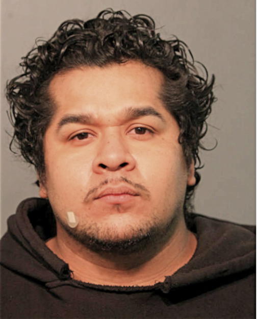 LUIS E SUAREZ, Cook County, Illinois