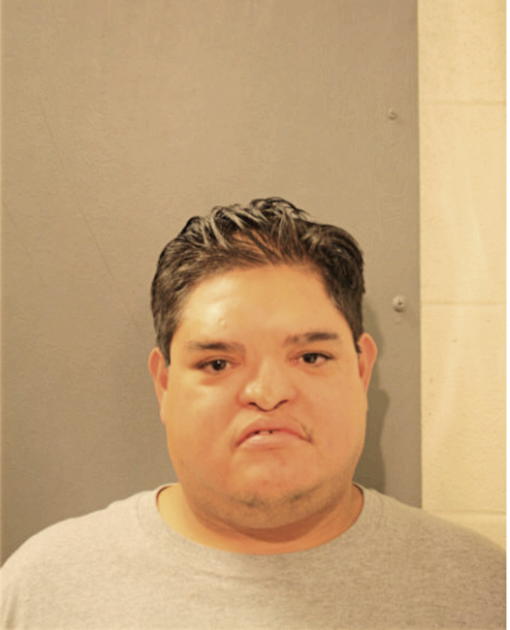 MARIO R GARCIA, Cook County, Illinois