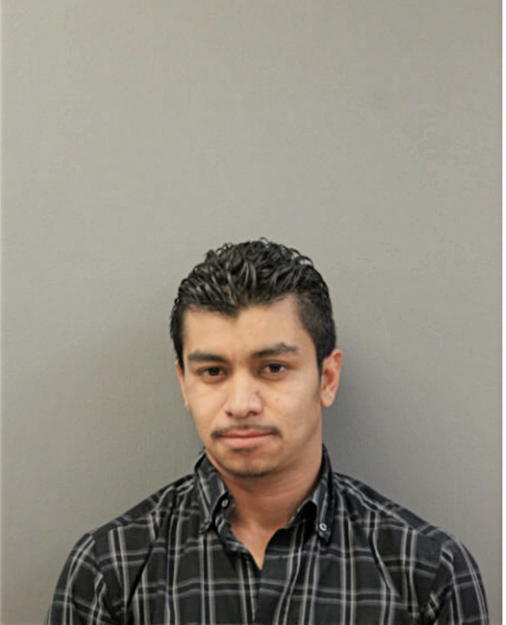 LUCIANO MENDOZA, Cook County, Illinois