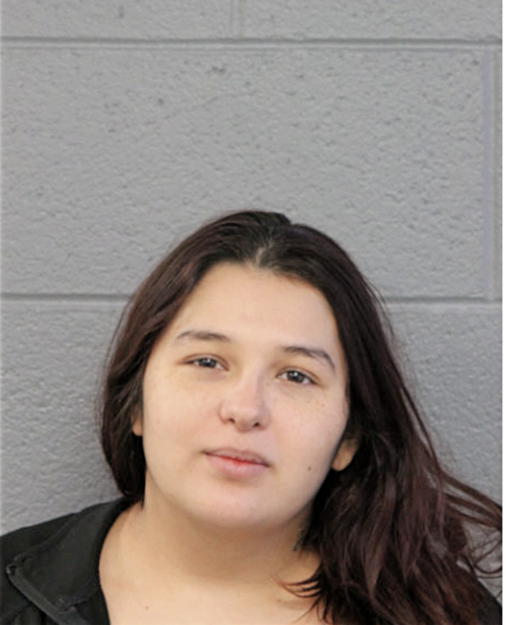 ELIZABETH M HERNANDEZ, Cook County, Illinois