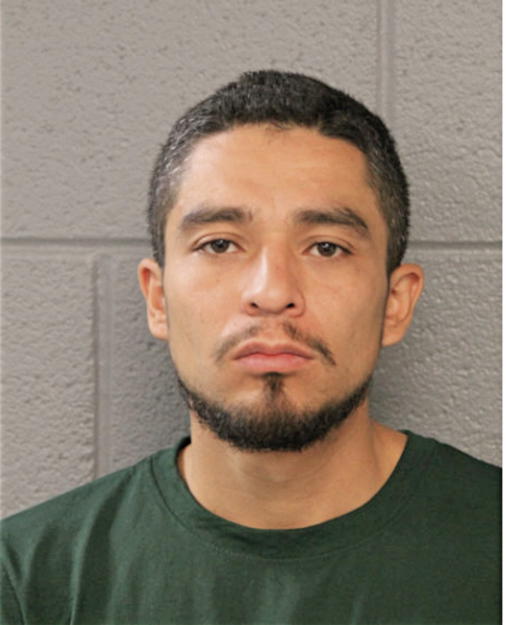 LUIS A PENA, Cook County, Illinois