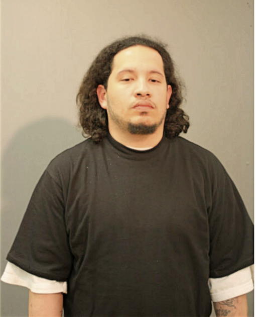 NELSON TORRES, Cook County, Illinois
