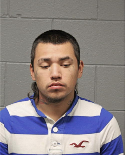 JAVIER LUIS CANO, Cook County, Illinois