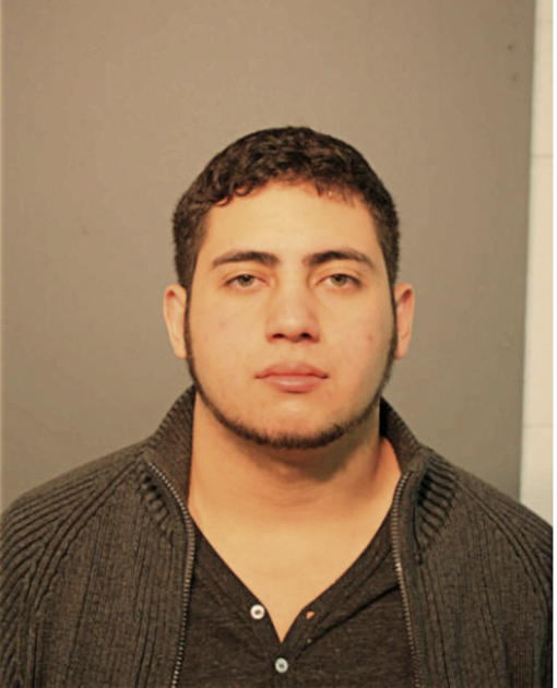 OMAR ORELLANA, Cook County, Illinois