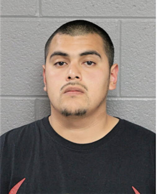 CESAR H RODRIGUEZ, Cook County, Illinois