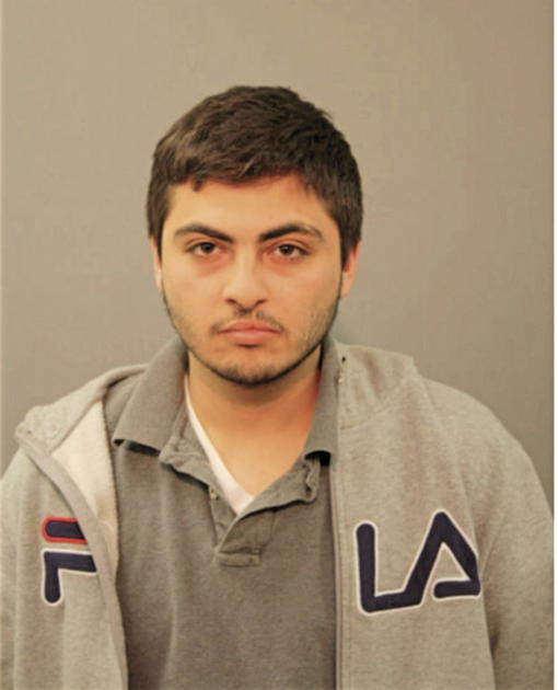 MOHAMAD A IBRAHIM, Cook County, Illinois