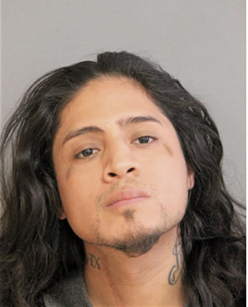 LEWIS P RODRIGUEZ, Cook County, Illinois