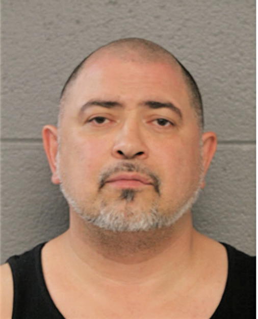 MARTIN J TORRES, Cook County, Illinois