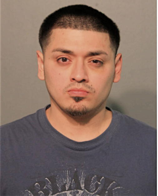 JOSE A MENDOZA, Cook County, Illinois