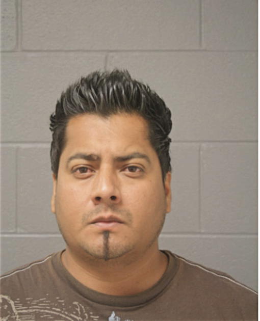 LUIS A RICARDEZ, Cook County, Illinois