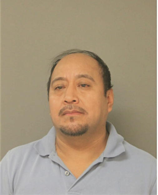 JAVIER FRANCISCO VICENTE, Cook County, Illinois