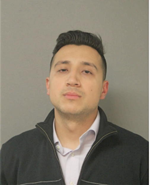 LUIS A SANDOVAL, Cook County, Illinois
