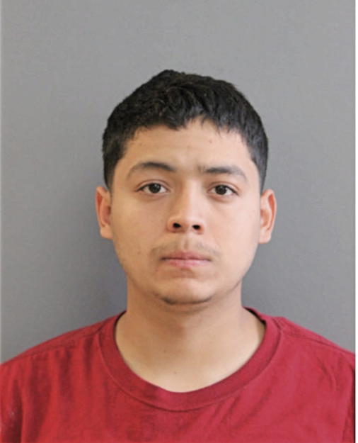 EDGAR TORRES, Cook County, Illinois