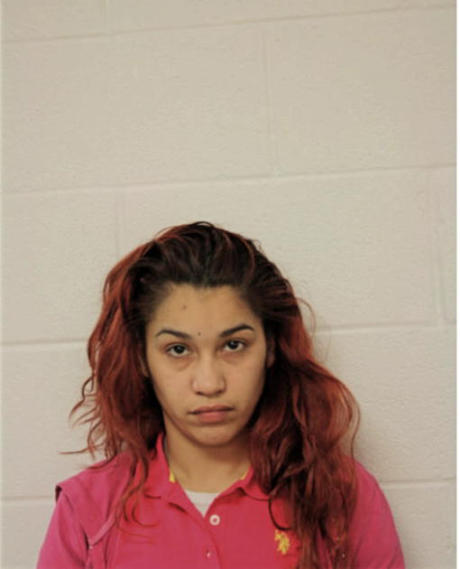 LISSETTE E GONZALES, Cook County, Illinois