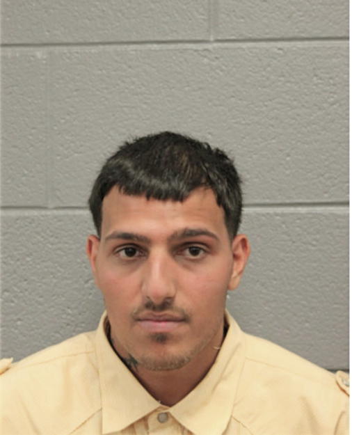MAHMOUD A ELABED, Cook County, Illinois