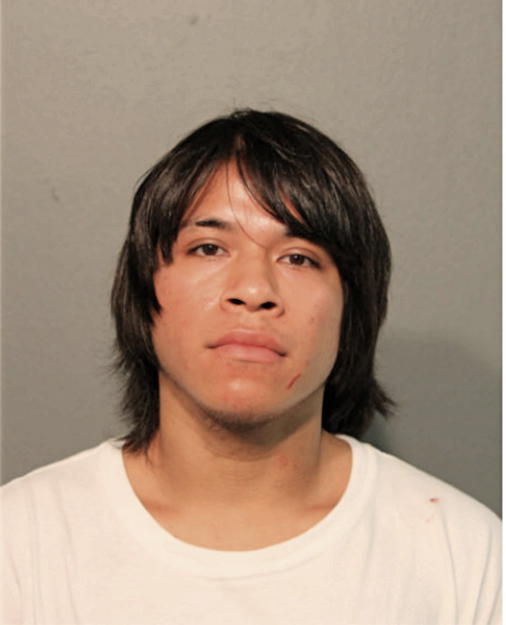 DELFINO RODRIGUEZ, Cook County, Illinois