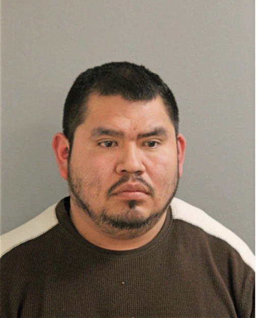 FELIPE RABADAN-DELAROSA, Cook County, Illinois