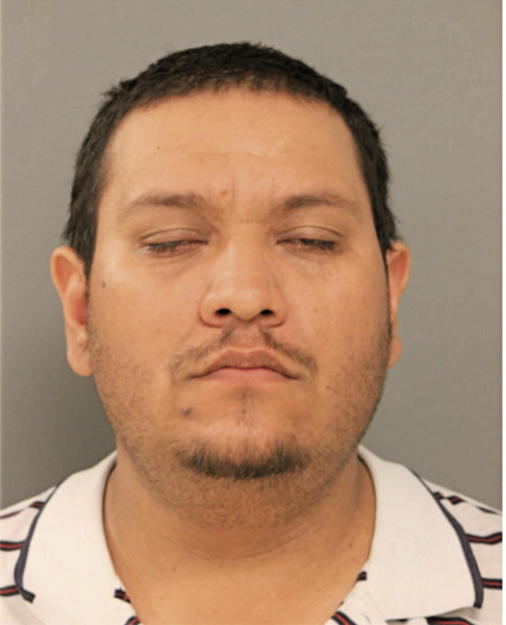 JOSE M PAREDES, Cook County, Illinois