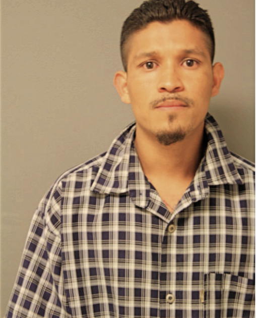MARCELO H REYES, Cook County, Illinois