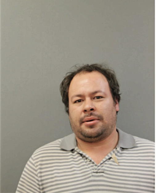 SAUL E RAMIREZ, Cook County, Illinois