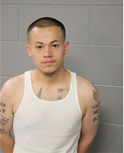CHRISTOPHER ROBLES, Cook County, Illinois