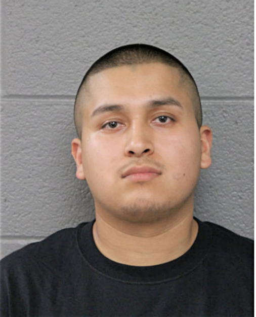 ISMAEL CASARES, Cook County, Illinois