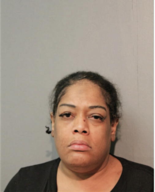 LISA Y SANDERS, Cook County, Illinois