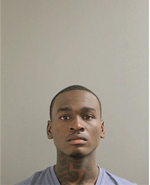 DESHAWN A NELSON, Cook County, Illinois