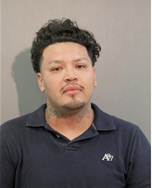 RAUL DIAZ-GARCIA, Cook County, Illinois