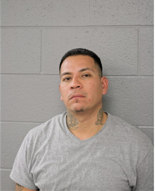 ROBERTO GONZALEZ, Cook County, Illinois