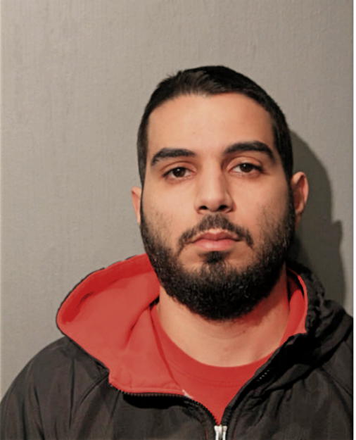 AHMED A NATOUR, Cook County, Illinois