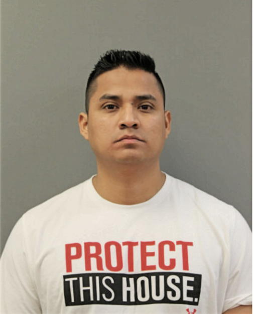 JOSE MIGUEL CARBAJAL-REAL, Cook County, Illinois