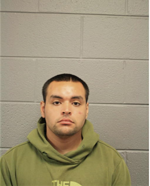 ANTHONY R TORRES, Cook County, Illinois