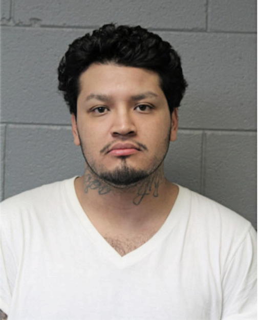 RAUL DIAZ-GARCIA, Cook County, Illinois