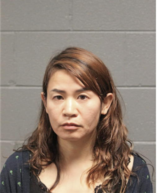 YUHUI DING, Cook County, Illinois