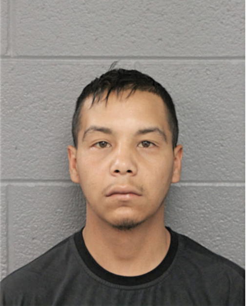 BRIAN C FLORES, Cook County, Illinois