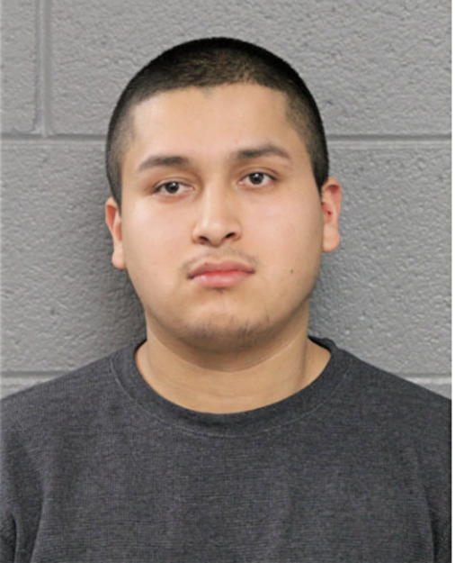 ISMAEL CASARES, Cook County, Illinois