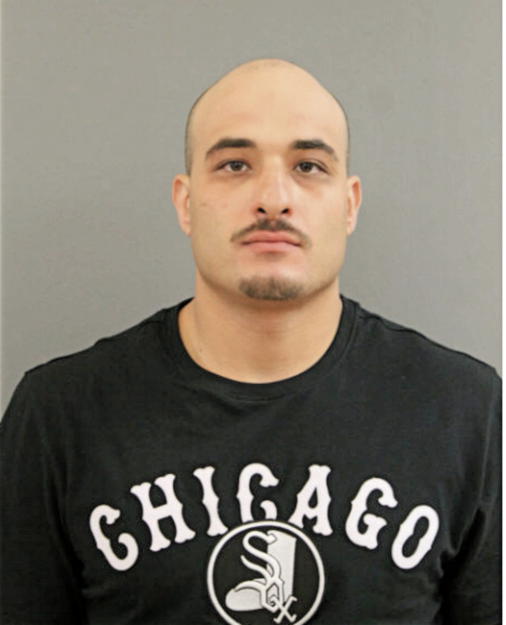 TAMER S DAHBOUR, Cook County, Illinois