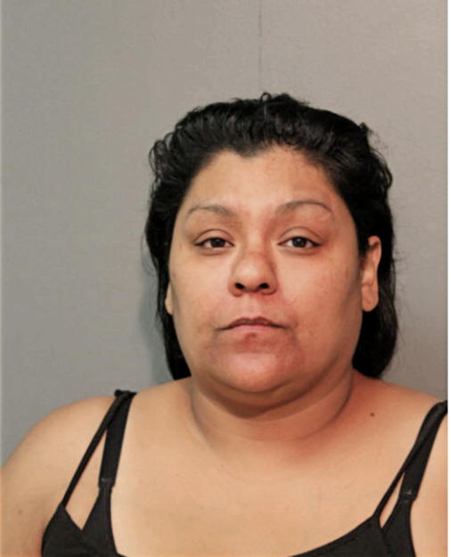 LLAJAIRA FLORES, Cook County, Illinois